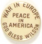 Wilson Peace in America