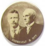 Roosevelt, Hitt Illinois Coattail