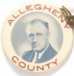 FDR Allegheny County