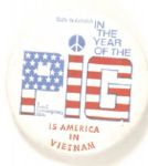  Vietnam, In the Year of the Pig
