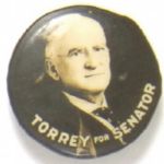 Torrey for Senator