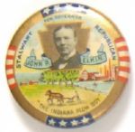 Elkin for Governor, Pennsylvania