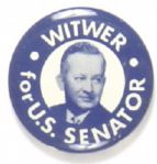 Witwer for Senator, Illinois