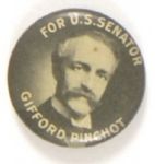Gifford Pinchot, Pennsylvania 