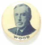 Leonard Wood for President