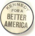 Robert Kennedy for Better America Flasher