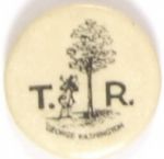 TR, George Washington Cherry Tree