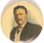 Theodore Roosevelt Portrait Pin