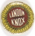 Landon, Knox Unusual Sunflower
