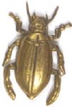 McKinley Gold Bug