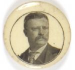 Roosevelt Unusual Celluloid