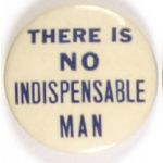 Willkie No Indispensable Man