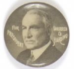 Harding Unusual Picture Pin