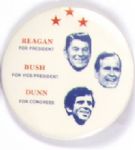 Reagan Michigan Coattail