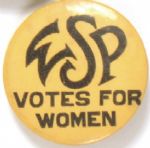 Woman Suffrage Party Votes for Women