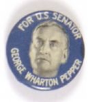 George Wharton Pepper for Senate