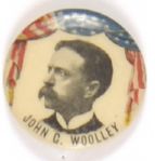 Woolley Prohibition Party