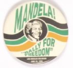 Mandela Los Angeles Rally
