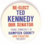 Re-Elect Ted Kennedy
