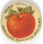 York Imperial Apples