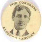 Langley for Congress, New Hampshire