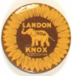 Landon-Knox Scarce Celluloid