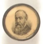 Harrison Brass Stud
