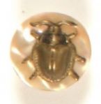McKinley Mother of Pearl Gold Bug