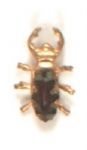 Gold Bug Stickpin