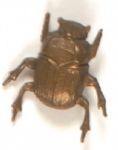 McKinley Gold Bug Stickpin