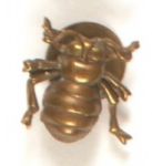 McKinley Gold Bug Stud