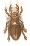 McKinley Stickpin
