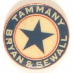 Bryan Tammany Hall