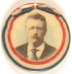 Roosevelt Scarce Size