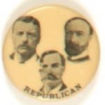 Roosevelt Michigan Coattail