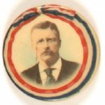 Roosevelt Colorful Celluloid
