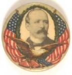 Parker Flag and Eagle