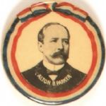 Parker Classic Design