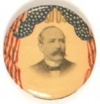 Alton Parker Flag Celluloid
