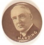 Harding Scarce Picture Pin