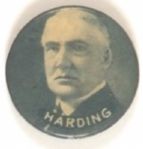 Harding Unusual Picture Pin