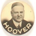 Hoover Sharp Picture Pin