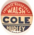 Roosevelt Massachusetts Coattail
