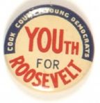 Cook County Youth for FDR