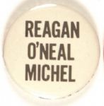 Reagan Illinois Coattail