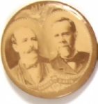 Parker-Davis Scarce Jugate