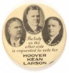 Hoover Scarce New Jersey Mirror