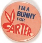Bunny for Carter
