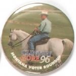 Clinton Montana