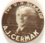 Anton Cermak, Illinois